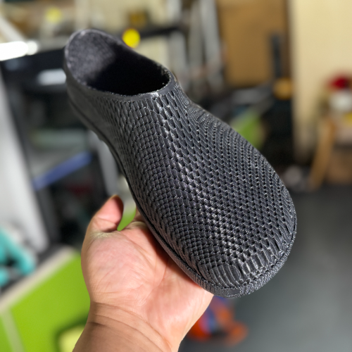 Chuer 3D Printed Shoe