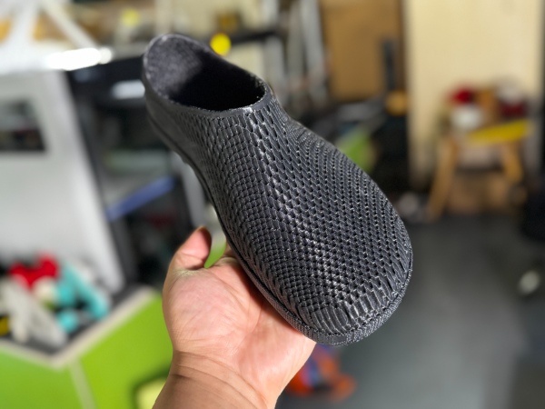 Chuer 3D Printed Shoe